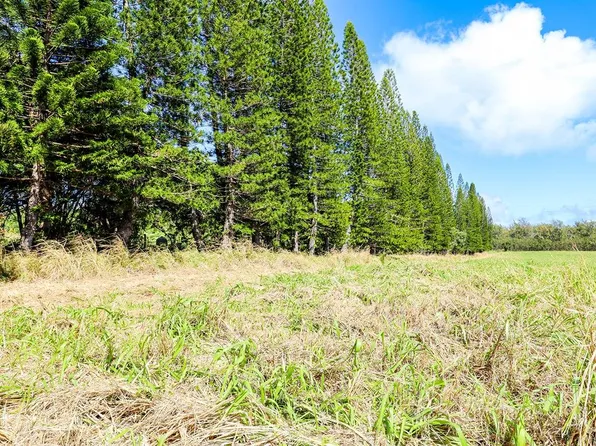 Koolau Rd #24, Kapaa, HI 96746