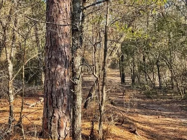 0 Highway 56 S, Swainsboro, GA 30401