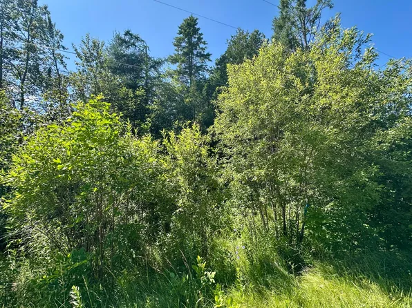 14371 Stoney Pointe Rd, Cheboygan, MI 49721