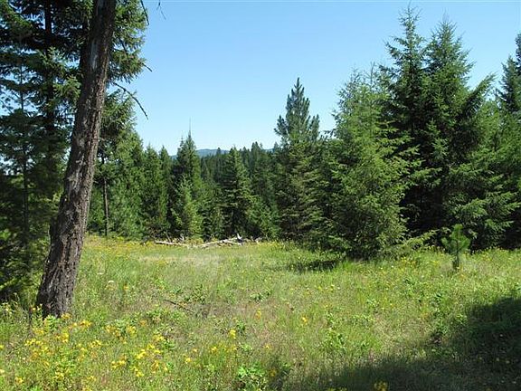 5th image of Blk 1 Lot 4 Blue Heron Lake Sagle Id #Lot 4