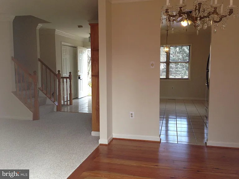 5001 Tarpon Ln — Photo 5