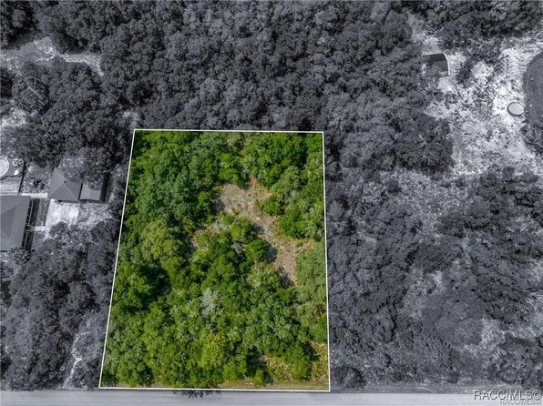 12766 W Cornflower Dr, Crystal River, FL 34428