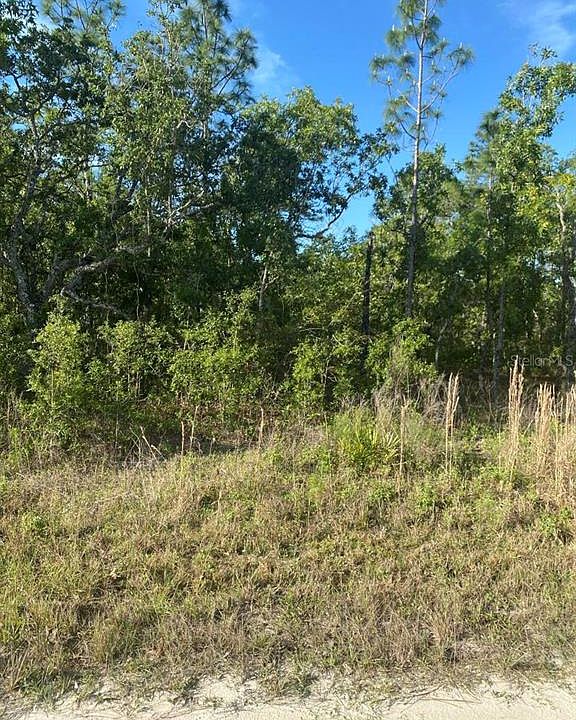 1st image of 12242 SNOWY EGRET AVENUE LOT 11