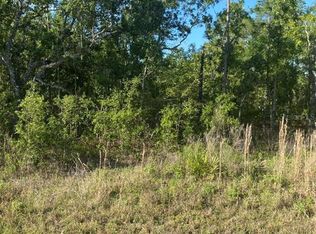 12242 Snowy Egret Ave #11, Brooksville, FL 34614