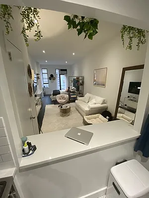 Rented by NY Living Solutions | media 15