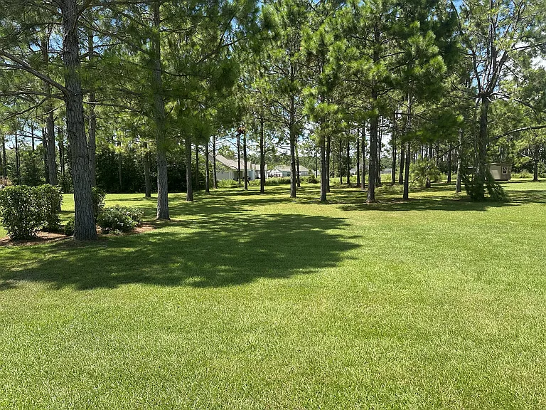 202 White Oak Dr — Photo 19