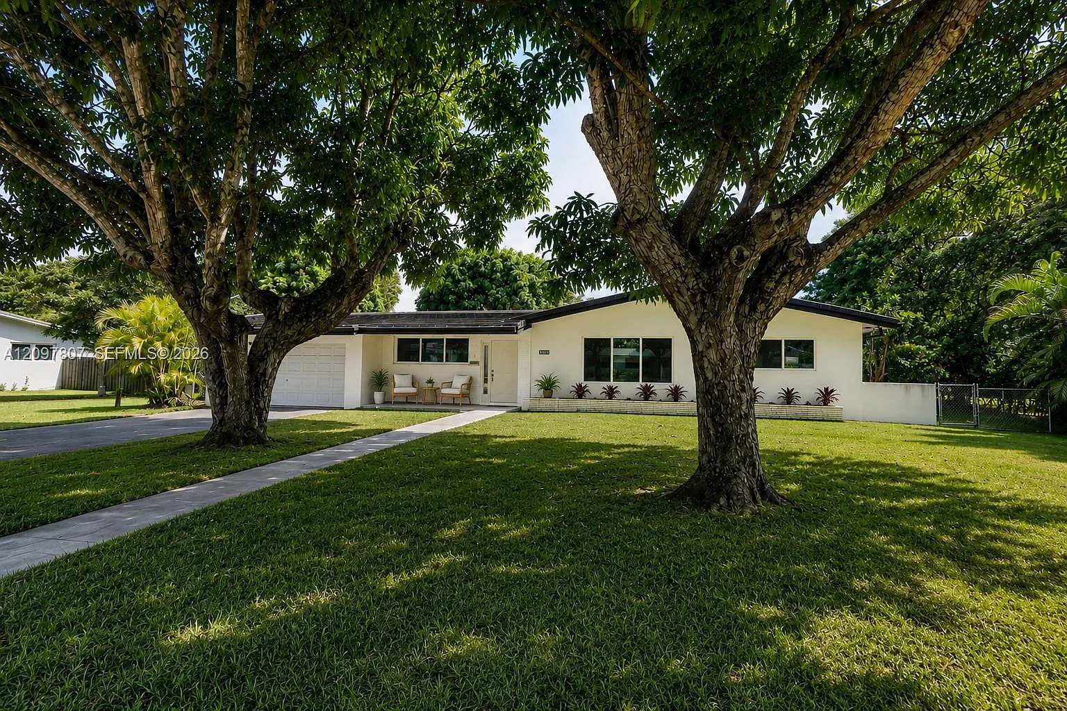 Mangowood — Photo 1