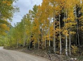 Mill Rd LOT 41, Rico, CO 81332