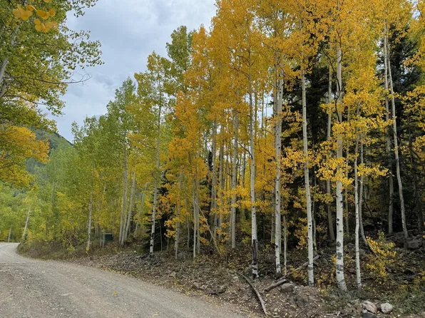 Mill Rd Lot 41, Rico, CO 81332