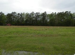 52 Little Lake Ln #CAT, Conway, SC 29527