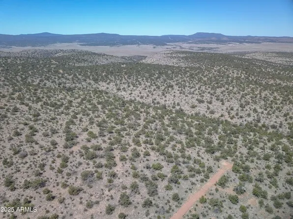 193 W Everwood Trail #702, Seligman, AZ 86337