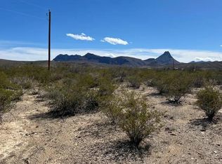 31466 Ringtail Rd, Terlingua, TX 79852