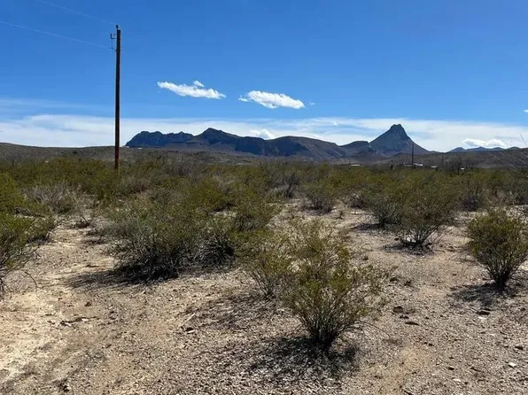 31466 Ringtail Rd, Terlingua, TX 79852