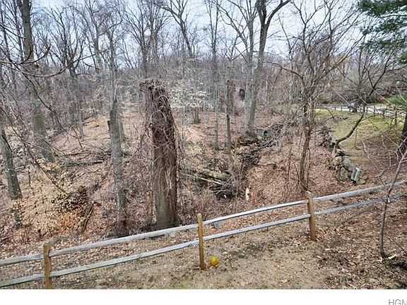 Views of the lush woods & brook