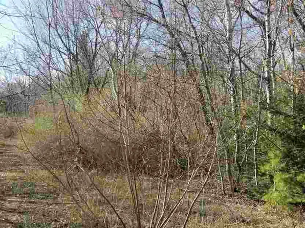 Tbd1 Gorman St, Ontonagon, MI 49953