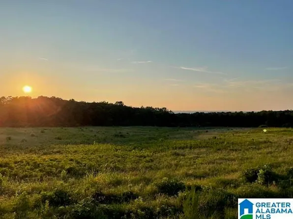 0 Jones Chapel Loop, Springville, AL 35146