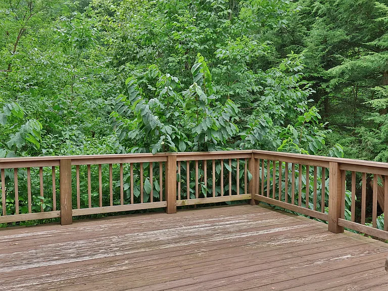 980 Mine Rd — Photo 31