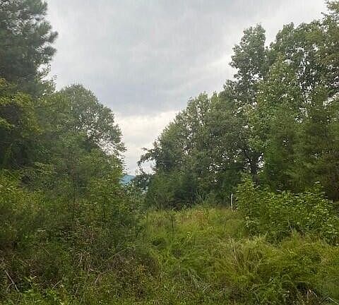 3rd image of 1075 Burns Island Rd