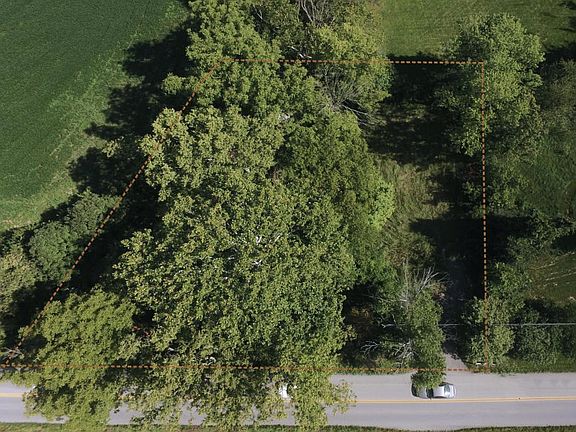 Birds-eye-view