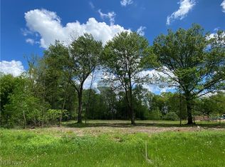 8615 Hunters Ridge Run, Wadsworth, OH 44281