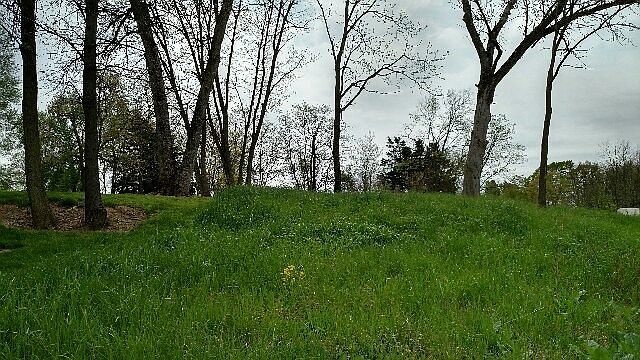 2nd image of 147 Campbell Rd