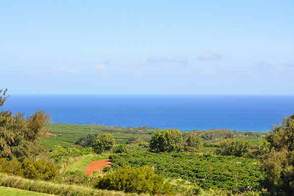 1st image of Kaena St