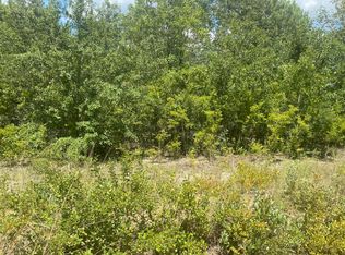 LOT 10 N Windsor Rd, Windsor, SC 29856