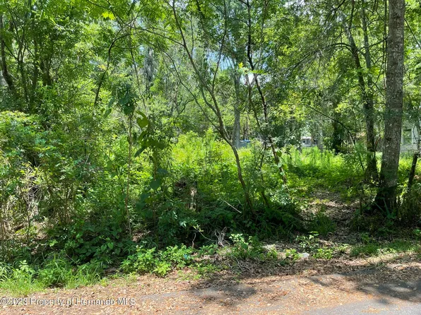 0 Wildwood Dr, Brooksville, FL 34601