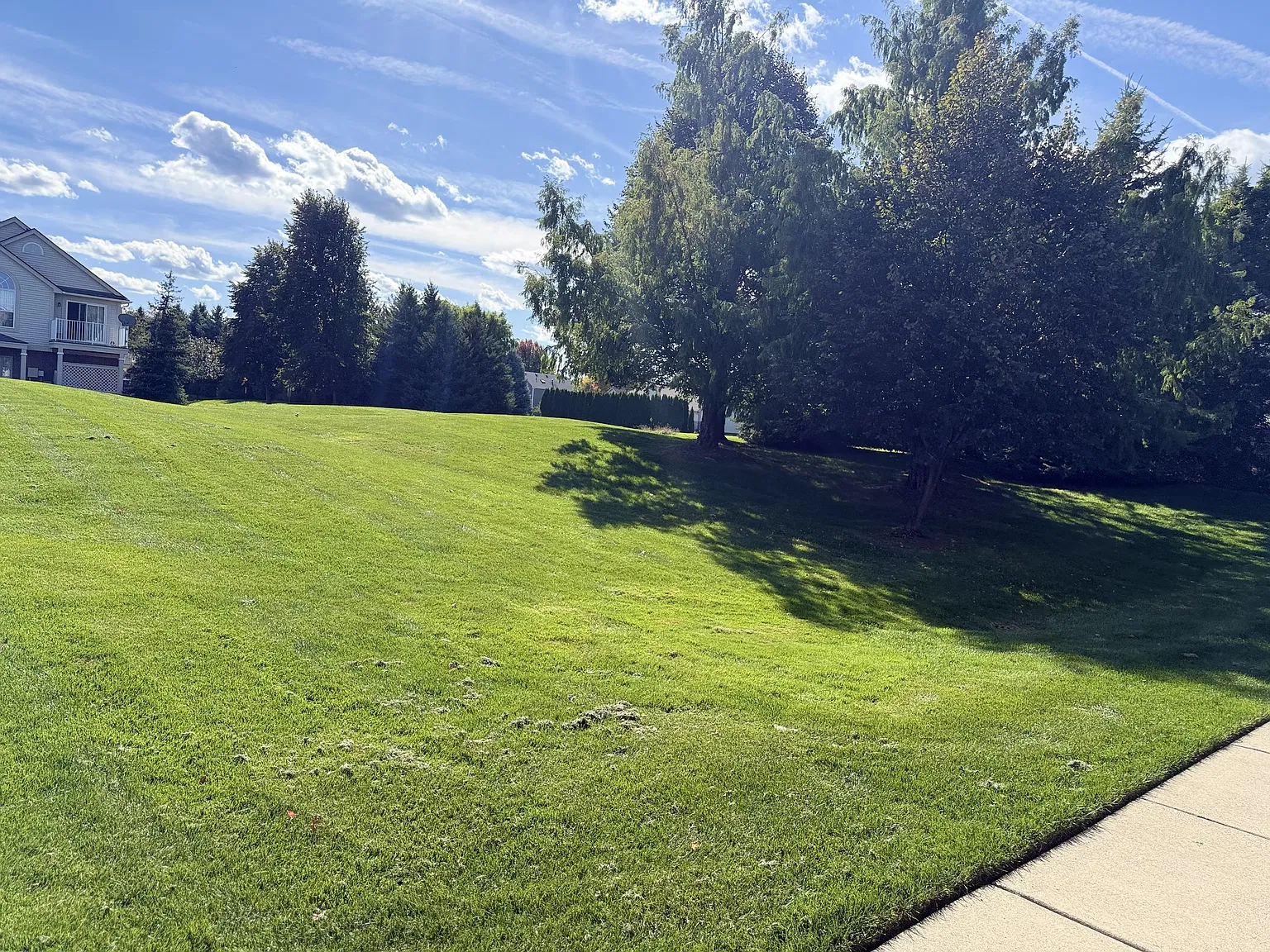 2 bed, 1500 sqft, $1,950 — Photo 4