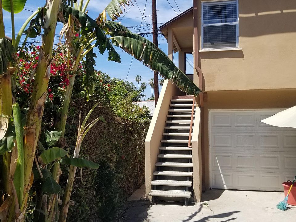 Entrance with banana palm