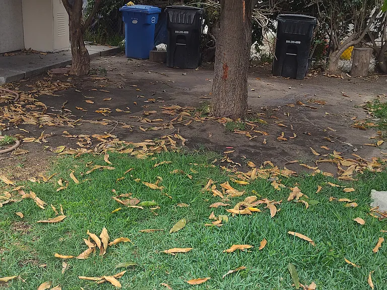 Hope St — Photo 3