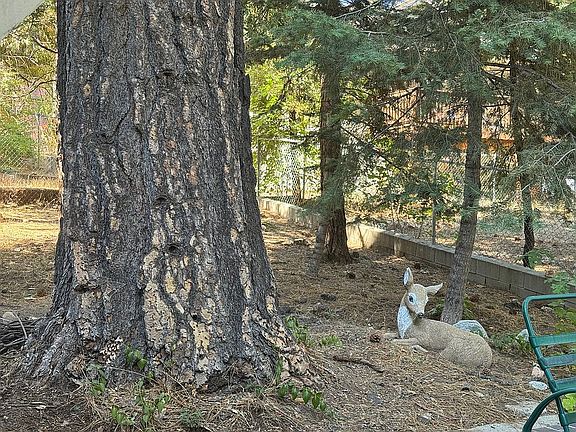 5th image of 2113 Spring Oak Dr