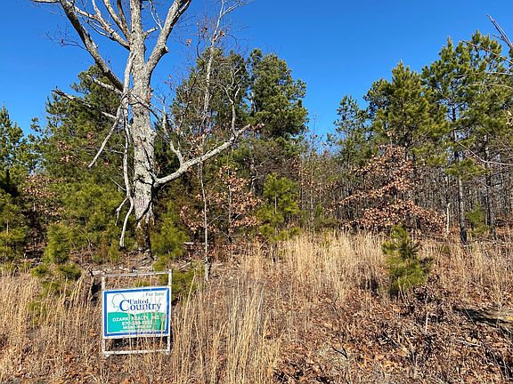 2nd image of Black Bear Bluff Blf