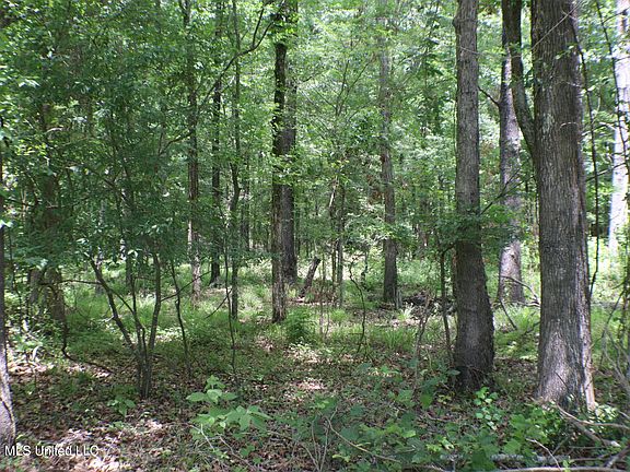 4th image of Vine Dr