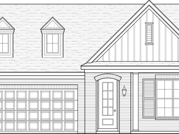 Hazel Plan, Walnut Green