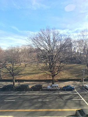 Rented by Bohemia Realty Group | media 30