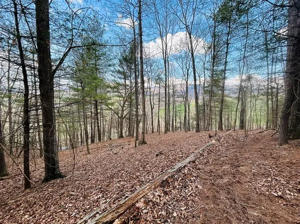 Tbd Wilkins Ln, Wytheville, VA 24382