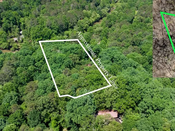 0 Chattle Way, Ellijay, GA 30540