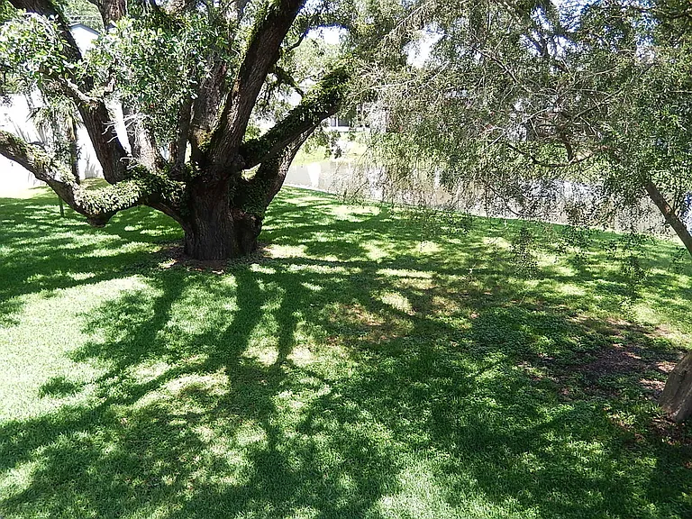 1317 Airport Dr #F13 — Photo 17