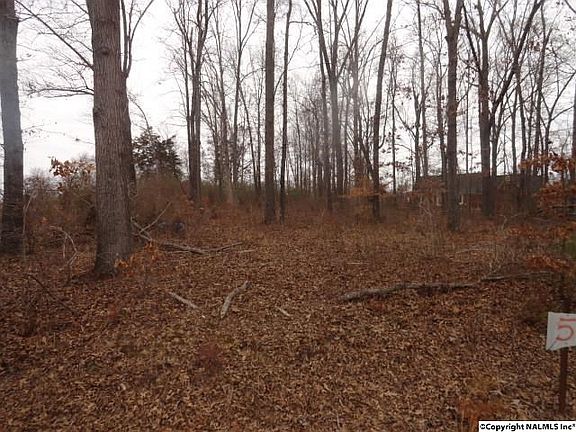 5th image of 178 Shockley Dr