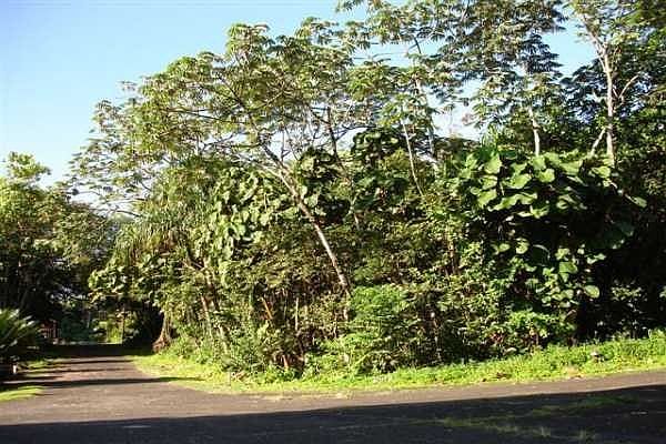 1st image of Opakapaka St Lot 18