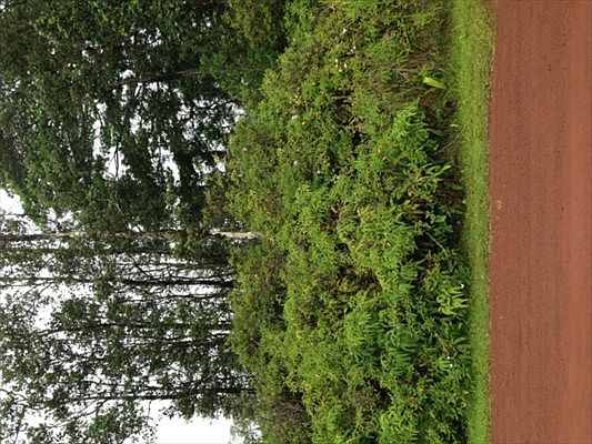 2nd image of Jewel Dr Lot 8
