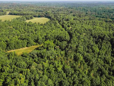 5248 County Road 14, Union Springs, AL, 36089