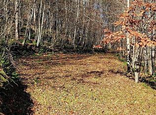 1 New View Dr, Burnsville, NC 28714
