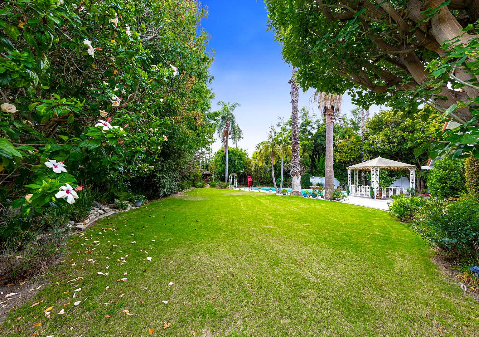 4 bed 3 bath POOL on HUGE Lot! — Photo 4