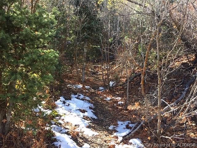 1st image of 345 Upper Evergreen Dr