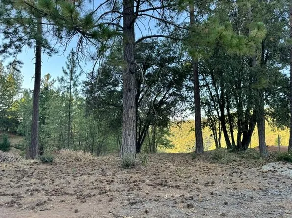 5927 Black Quartz Rd, Murphys, CA 95247