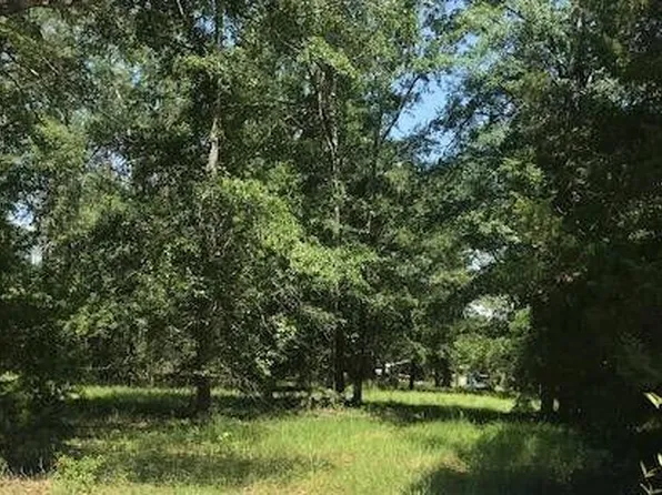 Sappling Rd, Barnwell, SC 29812
