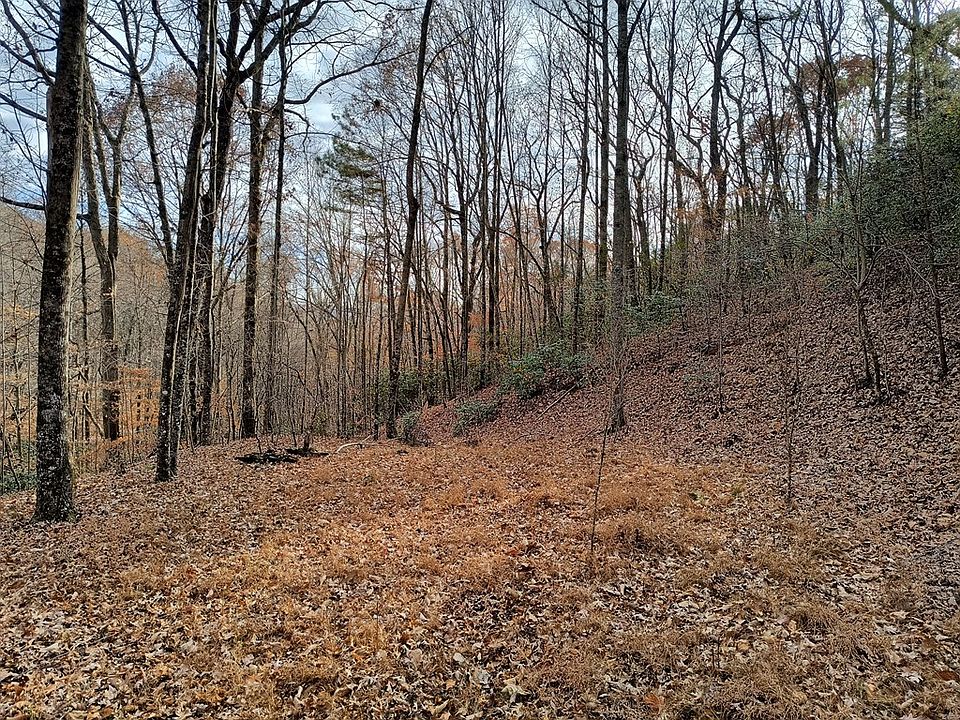 2nd image of 10 Cherokee Cir