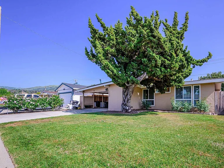 3410 Pepper Tree Ln — Photo 44